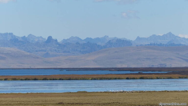 lago junin 007